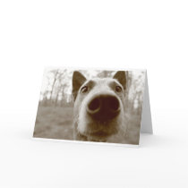 the bond greeting card