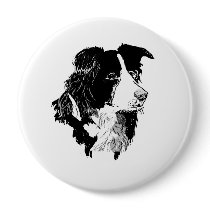 THE BORDER COLLIE