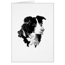 THE BORDER COLLIE
