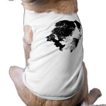 THE BORDER COLLIE