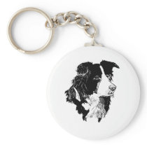 THE BORDER COLLIE