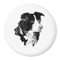 THE BORDER COLLIE