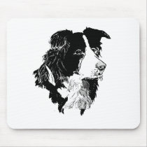 THE BORDER COLLIE