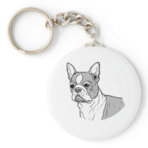 THE BOSTON TERRIER