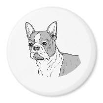 THE BOSTON TERRIER