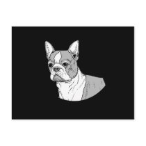 THE BOSTON TERRIER POST CARD