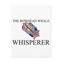 The Bowhead Whale Whisperer