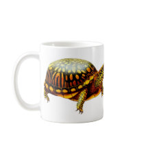 The Box Turtle Mug