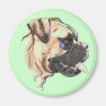 The Boxer Magnet