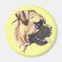 The Boxer Magnet