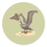 The Brown Pelican	(Pelecanus fuscus) stickers