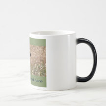 The Buck Stopped Here Mugs