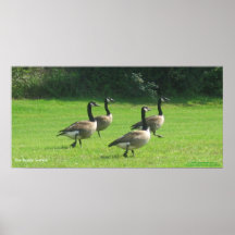 "The Buddy System" Print