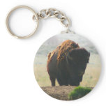 The Buffalo Collection II keychains