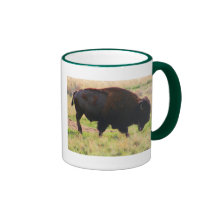 The Buffalo Collection Mug