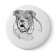 THE BULLDOG