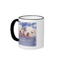 The Bulldog, often called the English Bulldog, Coffee Mug