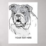 THE BULLDOG posters
