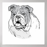 THE BULLDOG posters