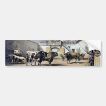 The Bulls in the Corral of the Plaza Bumper Stickers