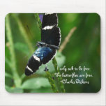 The Butterflies are Free-with quote