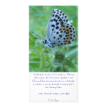 The butterfly dream card photo cards