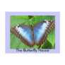 The Butterfly House Postcard