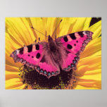 The Butterfly is a Flying Flower