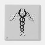 The Caduceus Magnets