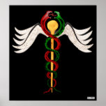 The Caduceus posters