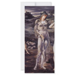 The Calling Of Perseus (The Perseus Cycle 1) rack cards
