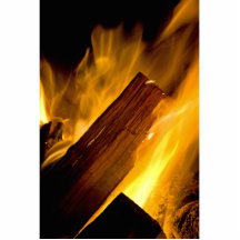 The Campfire Photo Cut Out