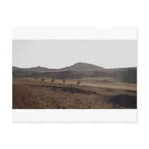 The caravan keeps moving