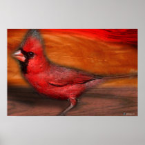 THE CARDINAL
