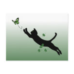 The Cat and the Butterfly postcards