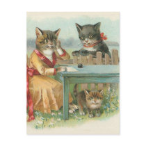"The Cat Family" Vintage Postcard