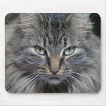 The Cats Eyes Have It Mouse Pads