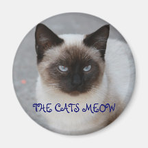 THE CATS MEOW MAGNET