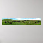 The Cattle Drive posters