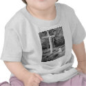 The Celebration of Jesus Christ t-shirts