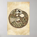 The Celtic Ferret