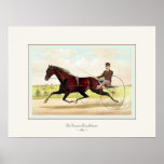 The Champion Pacer Johnston ~ 1884 Print