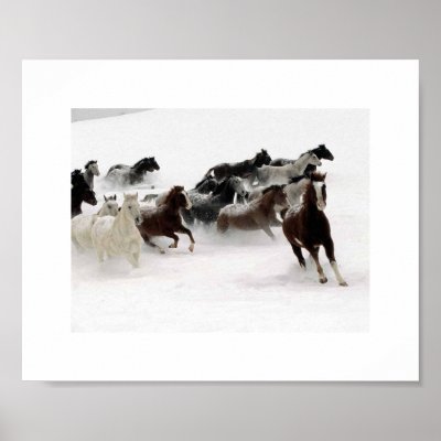 The charge of the horses. Poster