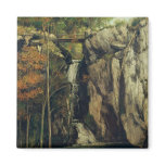 The Chasm at Conches, 1864 magnets