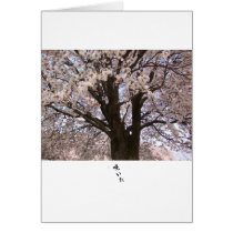 The cherry tree in Japan 1 Greeting Card