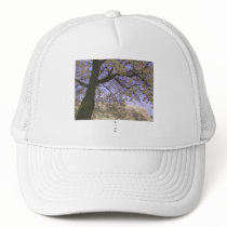 The cherry tree in Japan 2 Hat