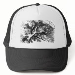 The cheshire cat hats