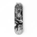 The cheshire cat skateboards