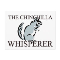 The Chinchilla Whisperer