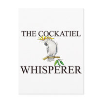 The Cockatiel Whisperer